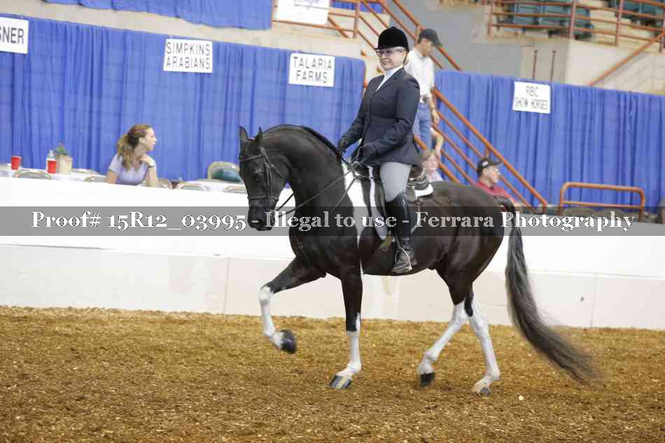 Proof Number 15R12_03995