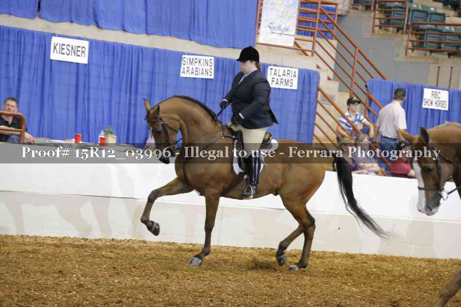 Proof Number 15R12_03996