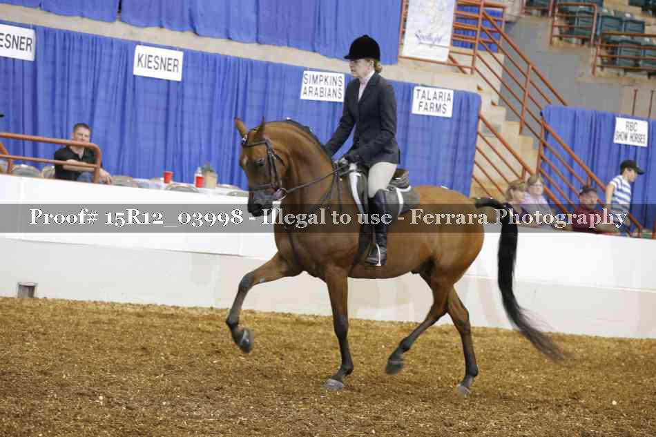 Proof Number 15R12_03998