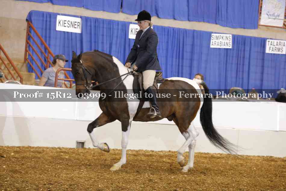 Proof Number 15R12_03999