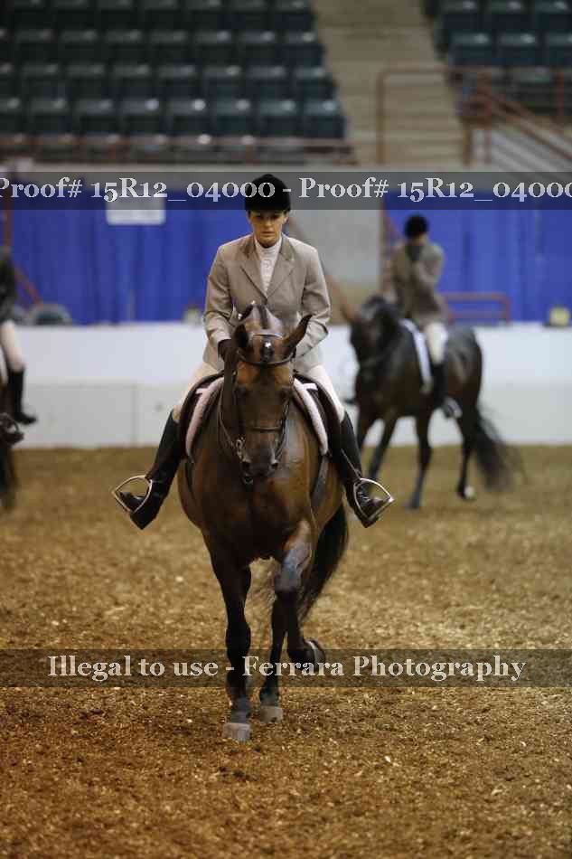 Proof Number 15R12_04000