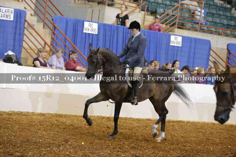 Proof Number 15R12_04001