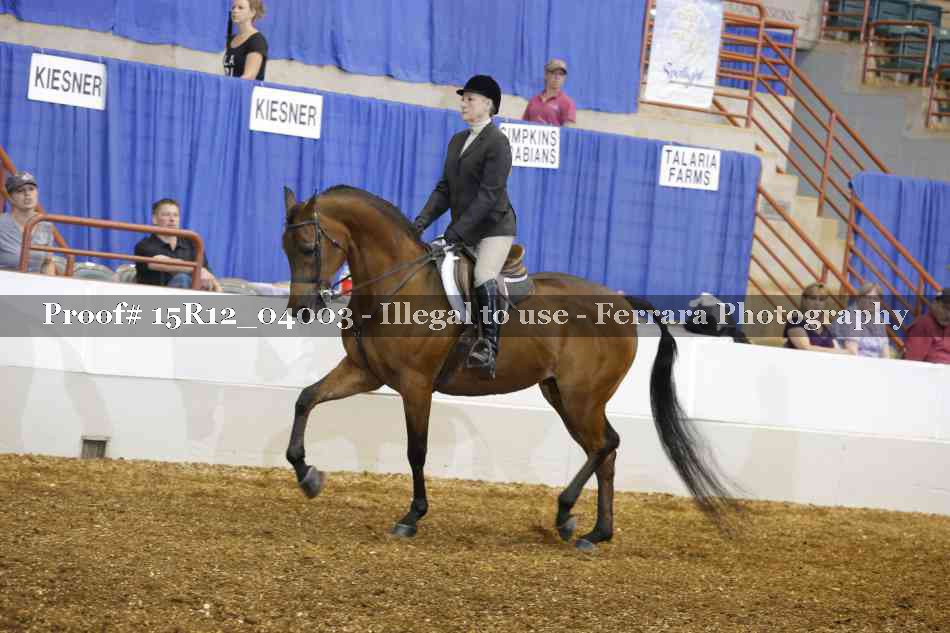 Proof Number 15R12_04003