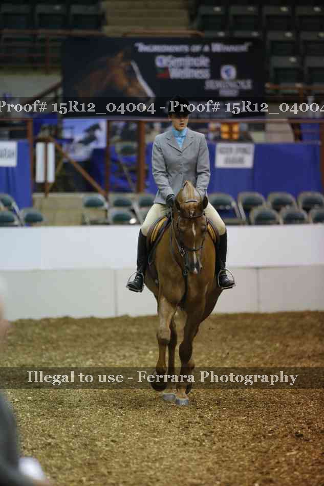 Proof Number 15R12_04004