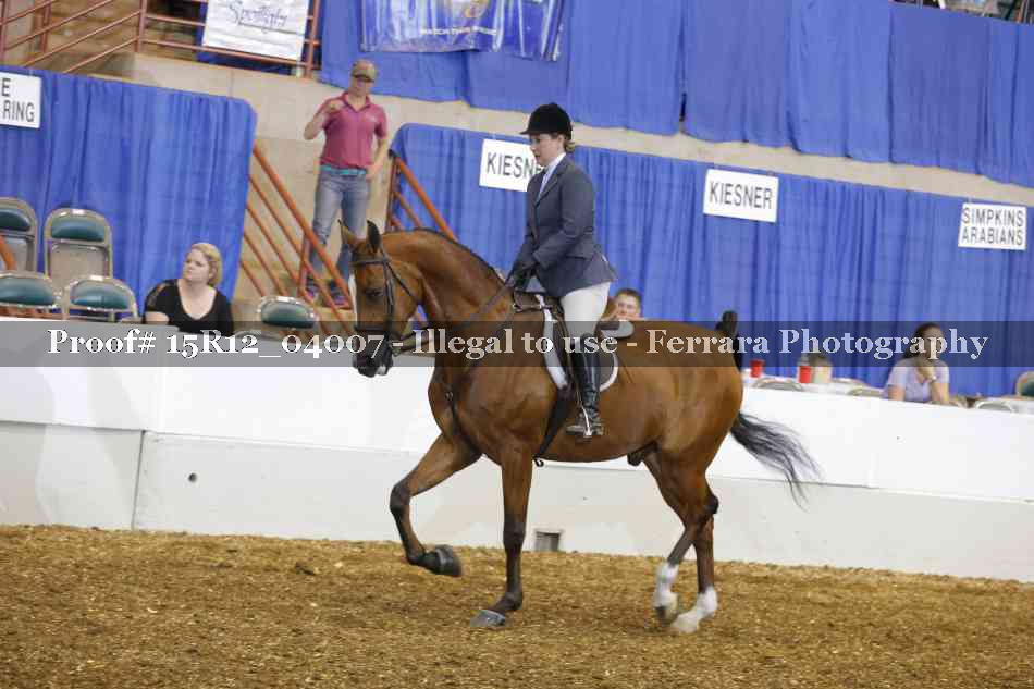 Proof Number 15R12_04007