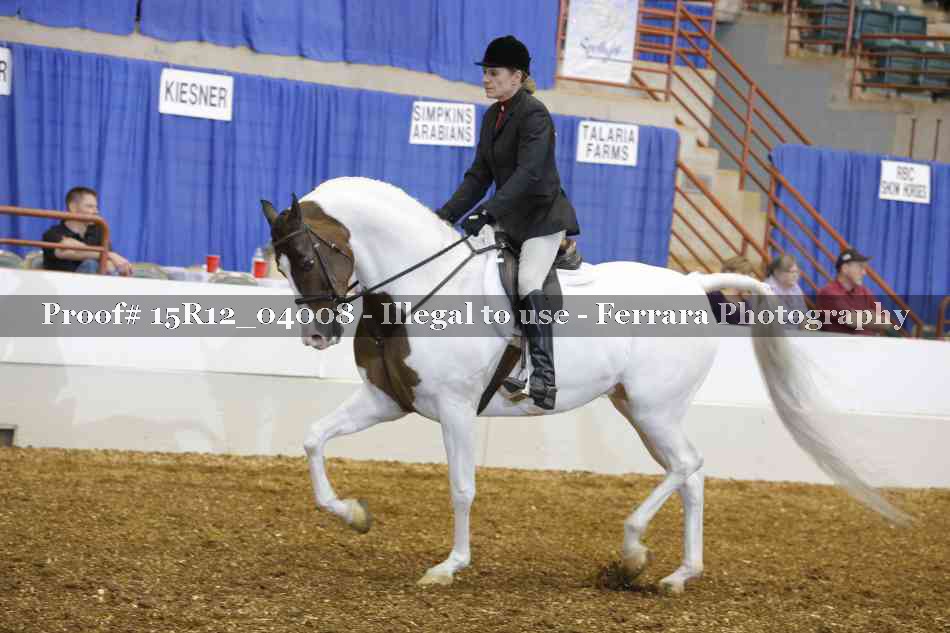 Proof Number 15R12_04008