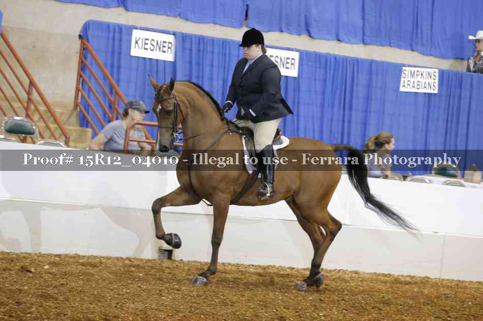 Proof Number 15R12_04010