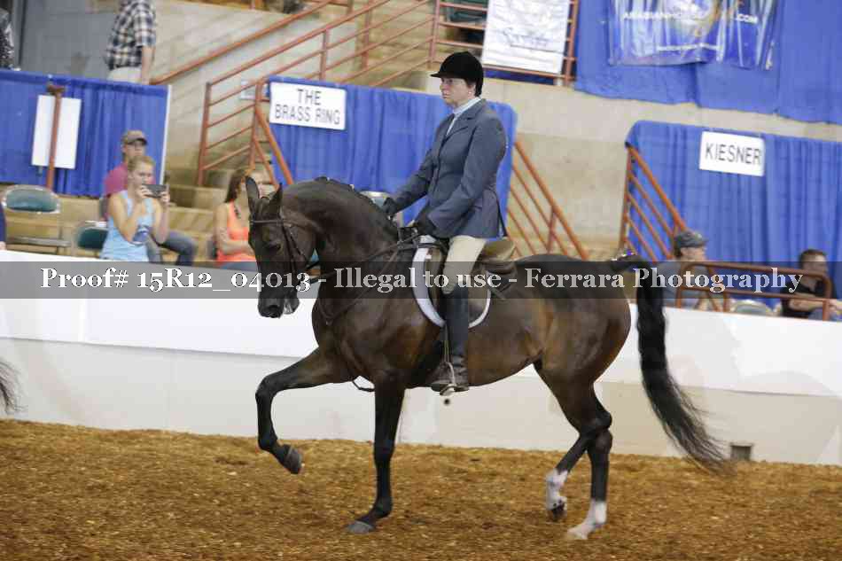 Proof Number 15R12_04013