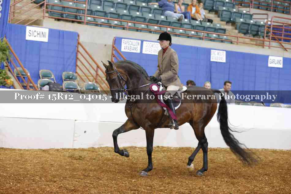 Proof Number 15R12_04015