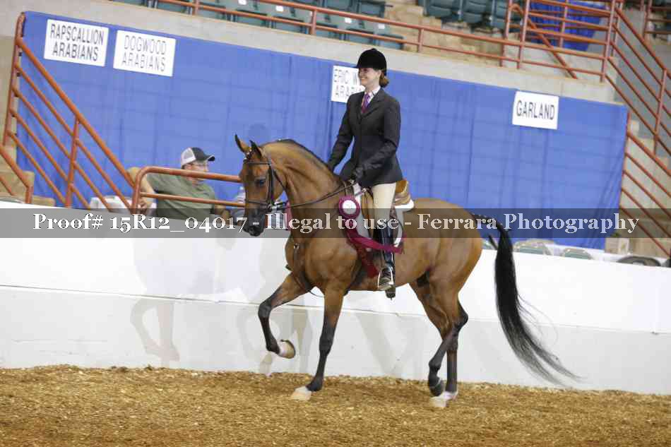 Proof Number 15R12_04017