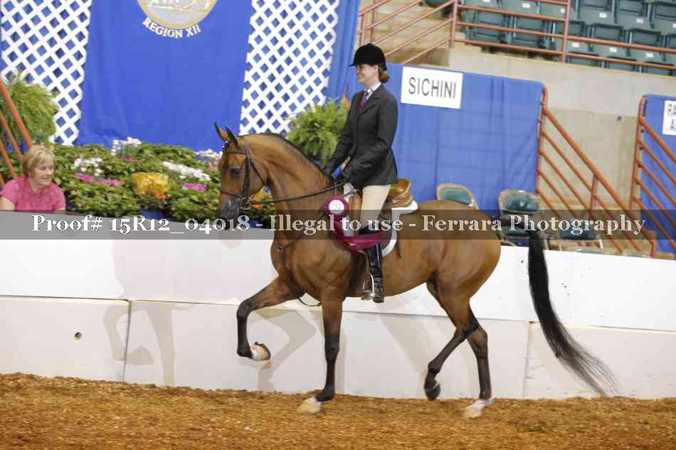 Proof Number 15R12_04018