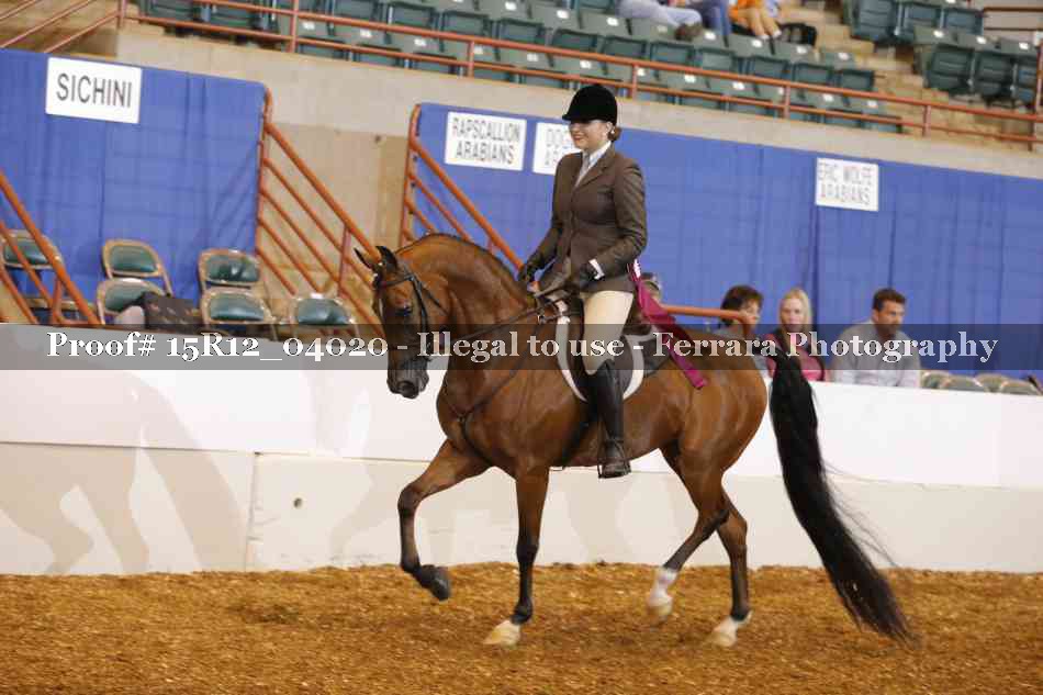 Proof Number 15R12_04020