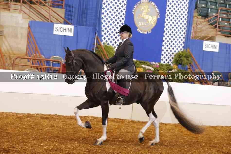 Proof Number 15R12_04024