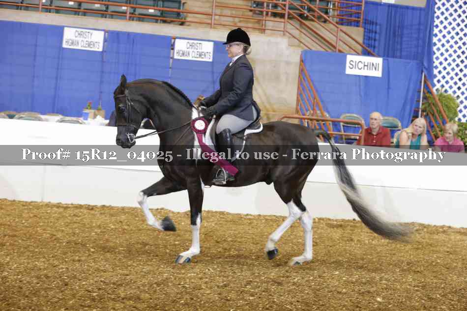 Proof Number 15R12_04025