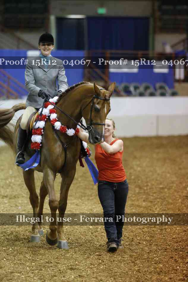 Proof Number 15R12_04067