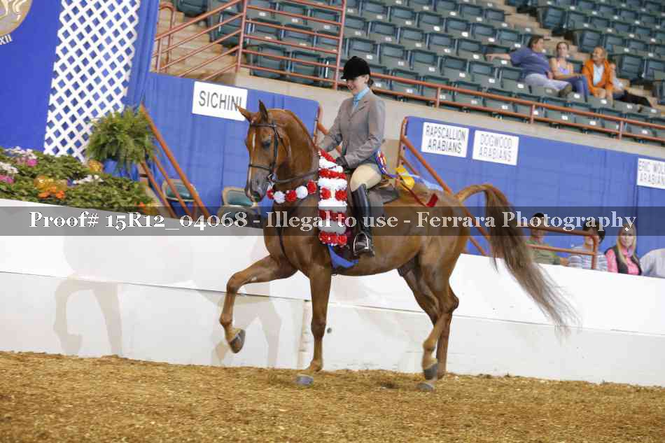 Proof Number 15R12_04068