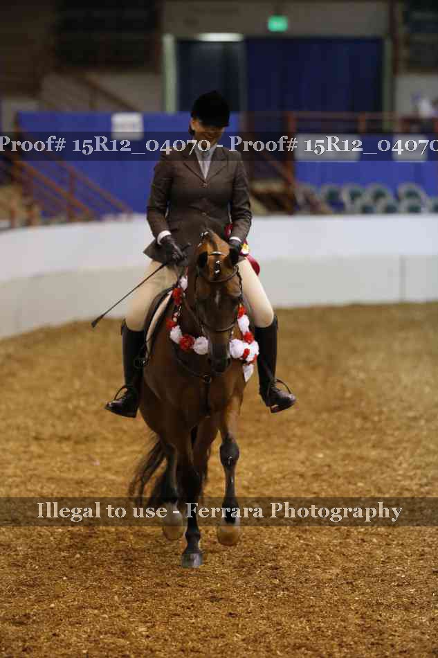 Proof Number 15R12_04070