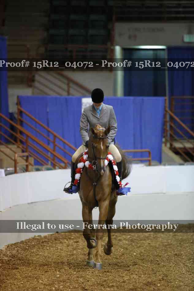 Proof Number 15R12_04072