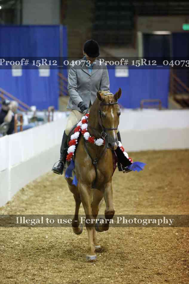 Proof Number 15R12_04073