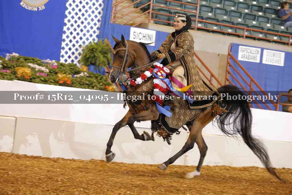 Proof Number 15R12_04095
