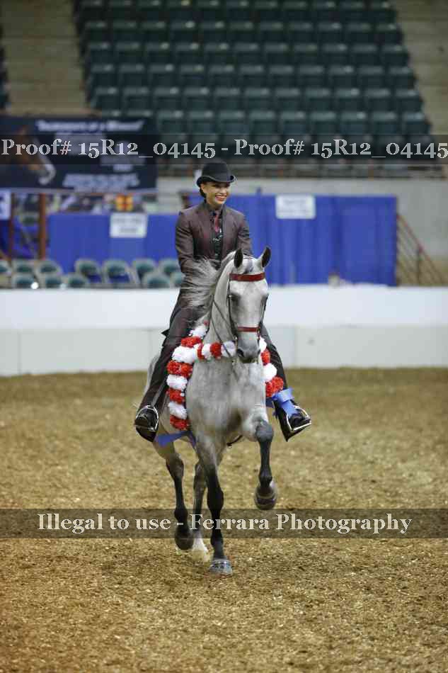 Proof Number 15R12_04145