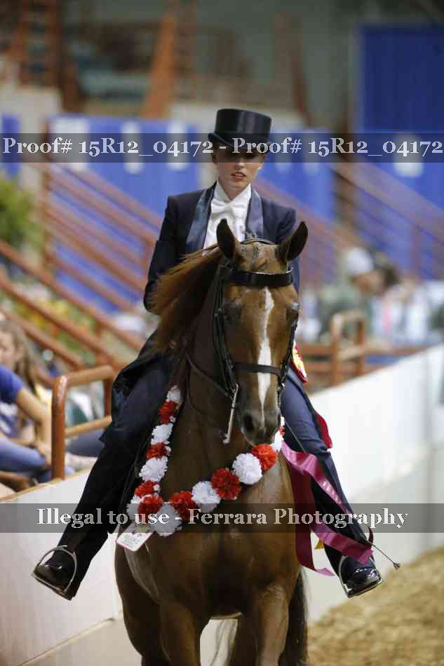 Proof Number 15R12_04172