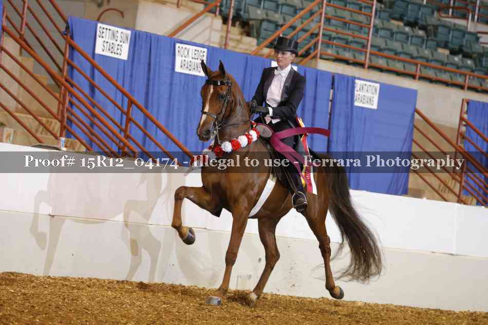 Proof Number 15R12_04174