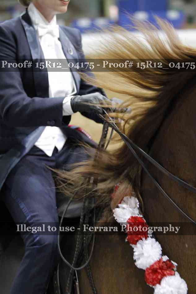 Proof Number 15R12_04175