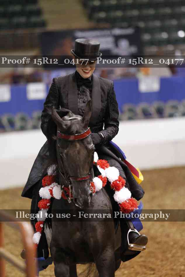 Proof Number 15R12_04177