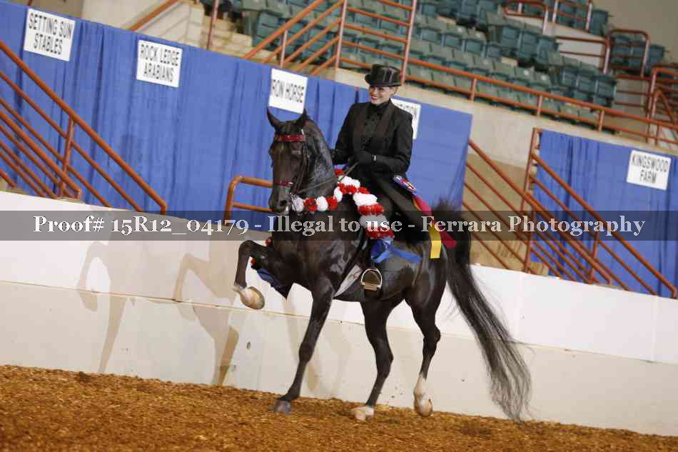 Proof Number 15R12_04179