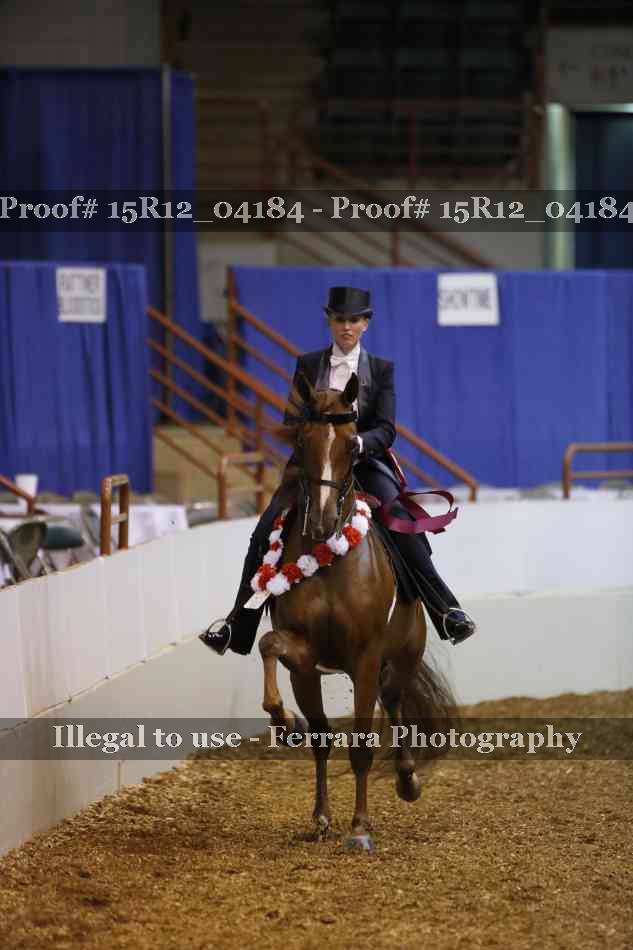 Proof Number 15R12_04184