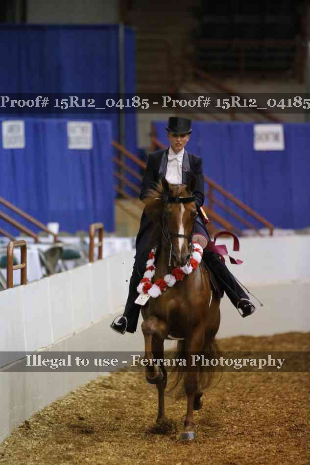 Proof Number 15R12_04185