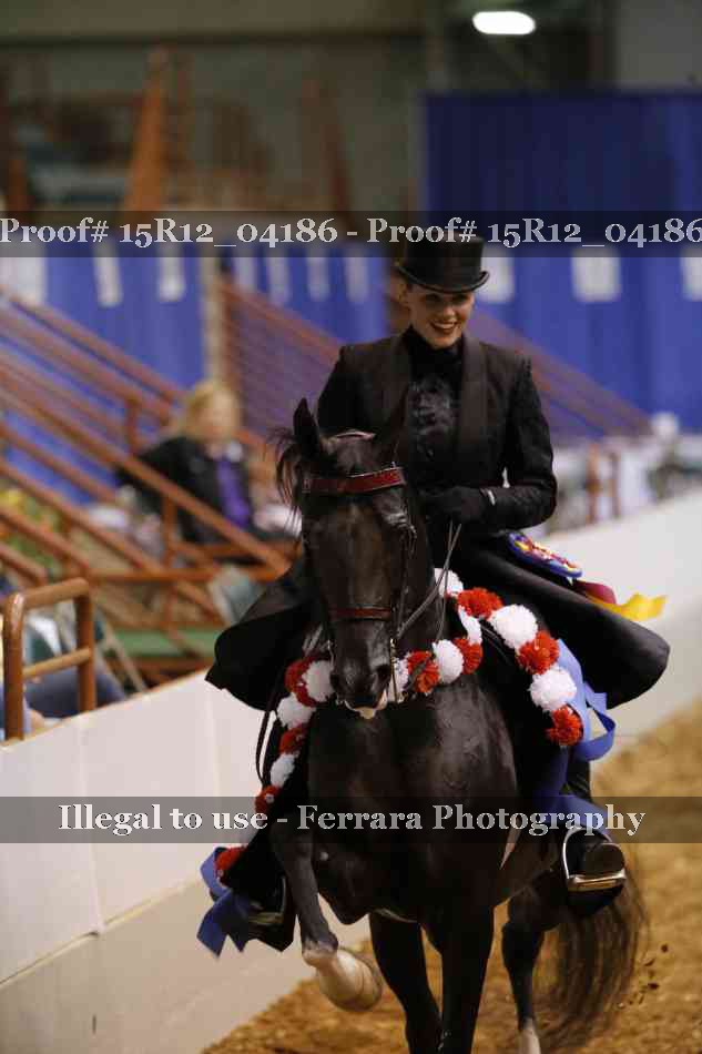 Proof Number 15R12_04186