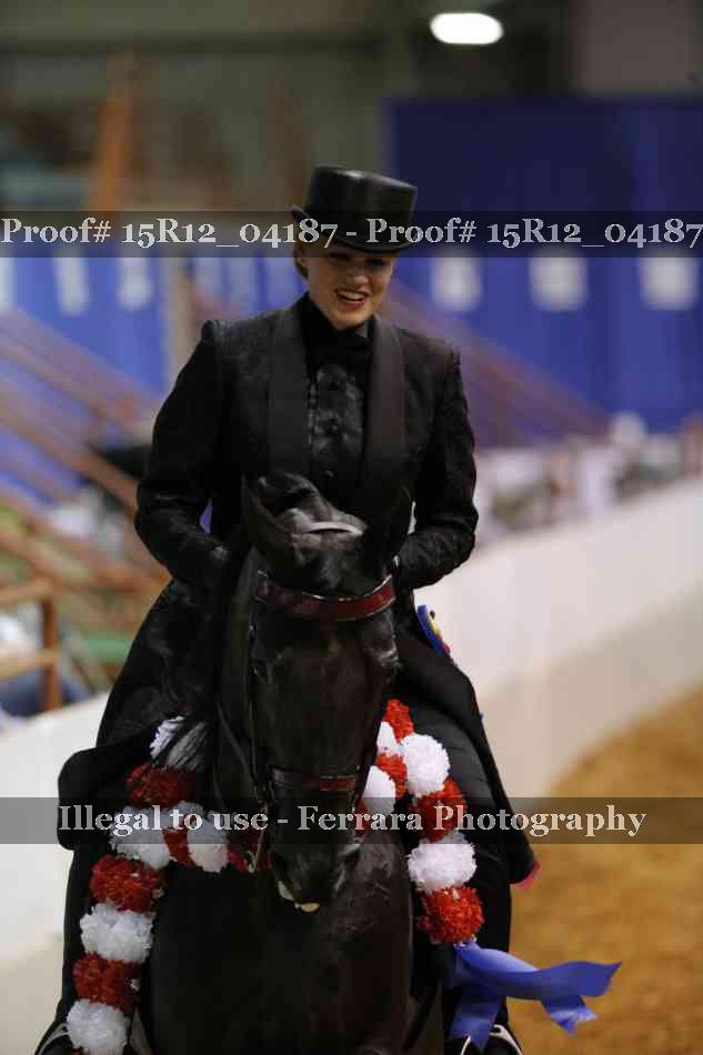 Proof Number 15R12_04187