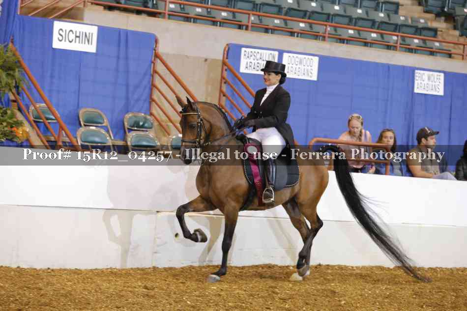 Proof Number 15R12_04257