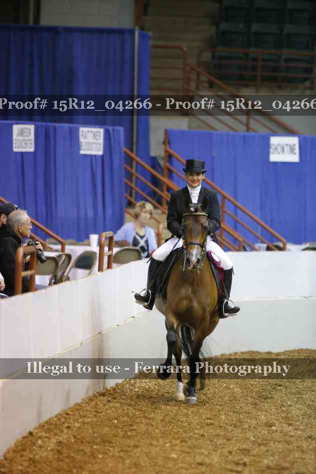 Proof Number 15R12_04266