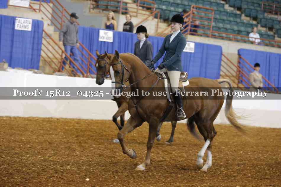 Proof Number 15R12_04325