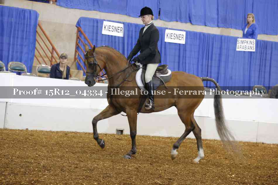 Proof Number 15R12_04334