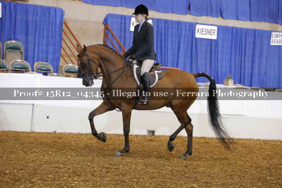 Proof Number 15R12_04345
