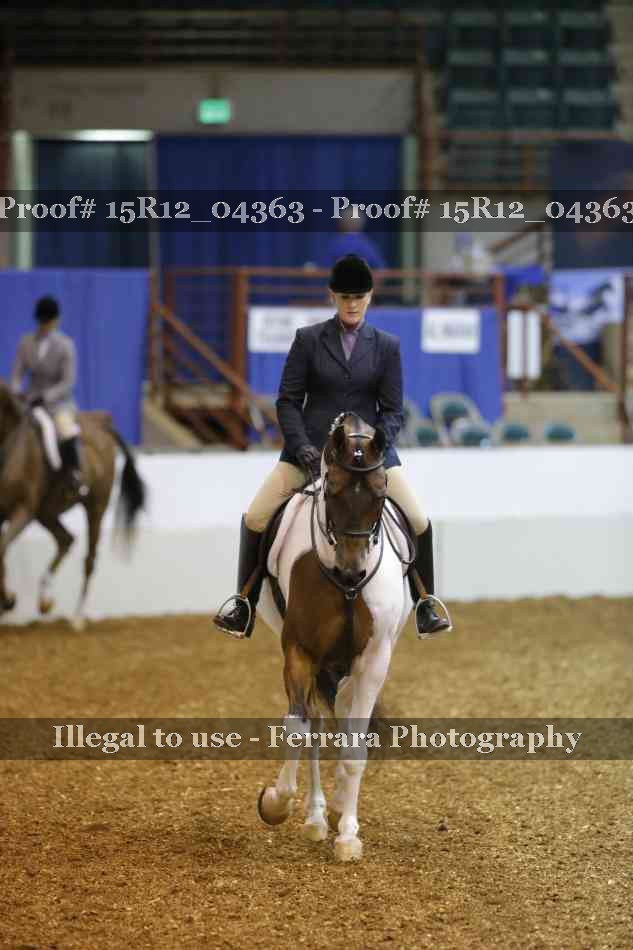 Proof Number 15R12_04363