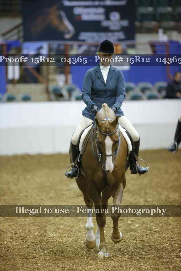Proof Number 15R12_04365
