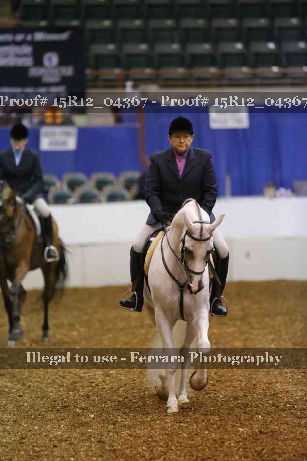 Proof Number 15R12_04367