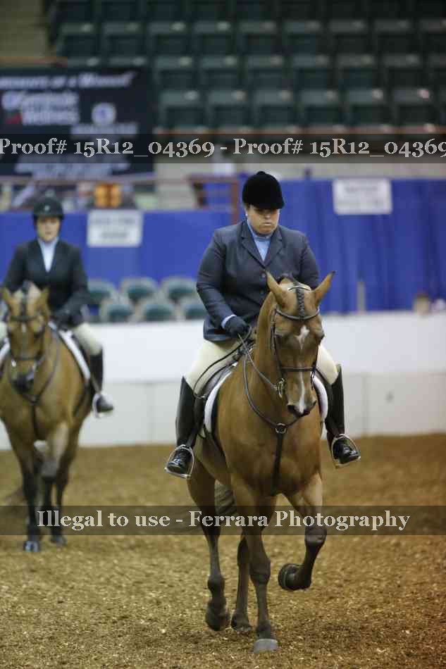 Proof Number 15R12_04369