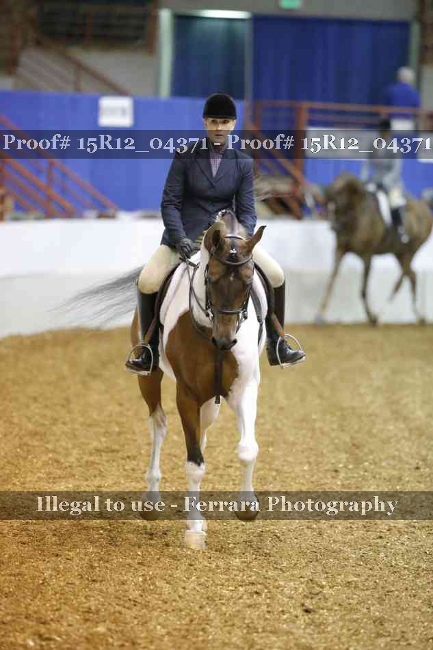 Proof Number 15R12_04371