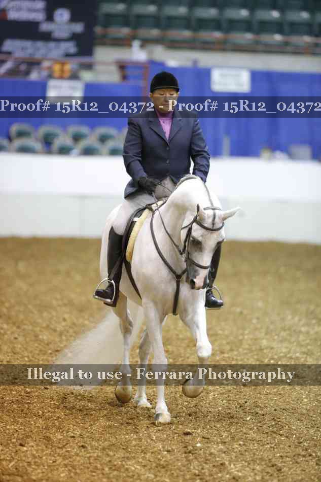 Proof Number 15R12_04372