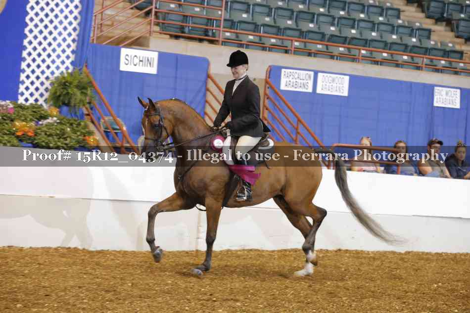 Proof Number 15R12_04374