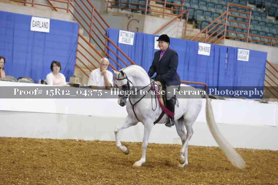 Proof Number 15R12_04375