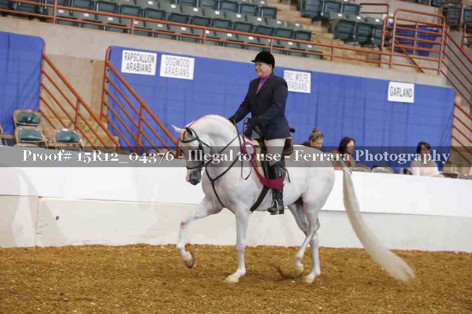 Proof Number 15R12_04376