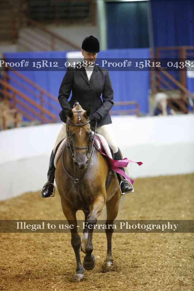 Proof Number 15R12_04382