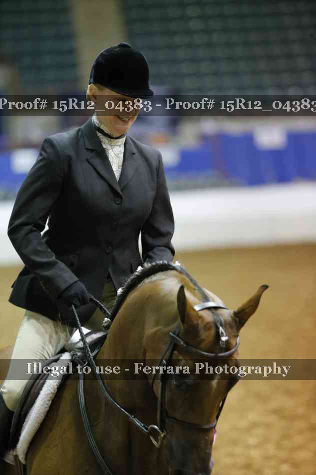Proof Number 15R12_04383